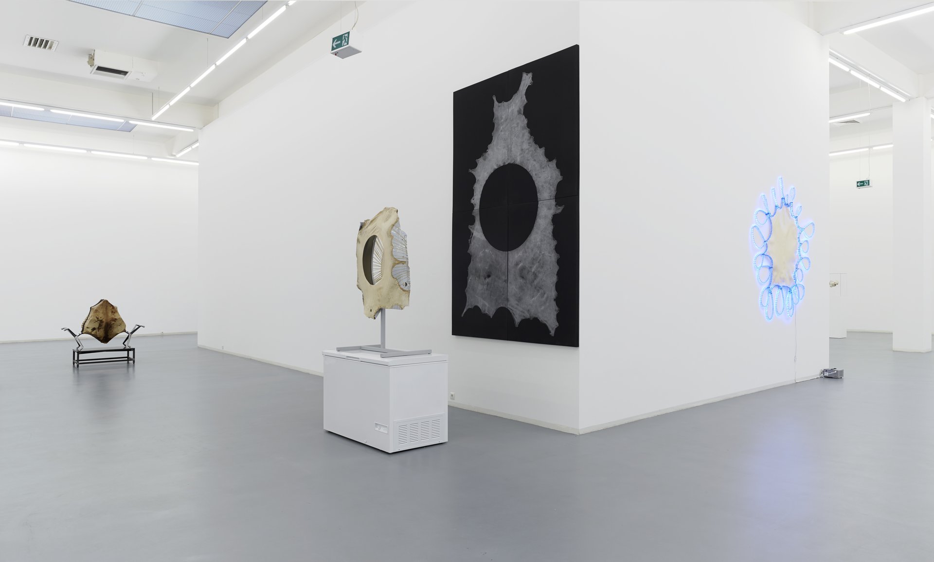 Brian Jungen, installation view, 2013, Bonner Kunstverein. Photo: Simon Vogel