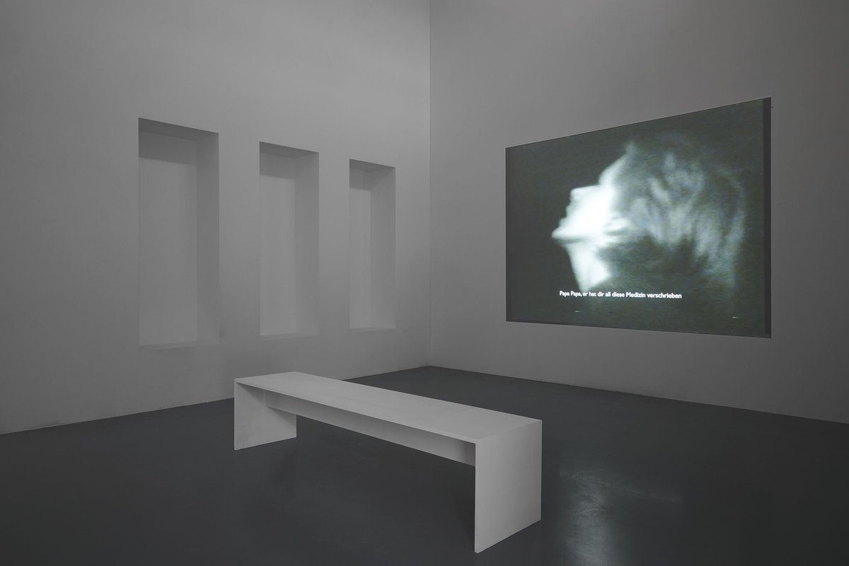 It is light, Bonner Kunstverein, 2024. Ausstellungsansicht mit Julia Heyward, Shake Daddy Shake. Foto: Mareike Tocha.
