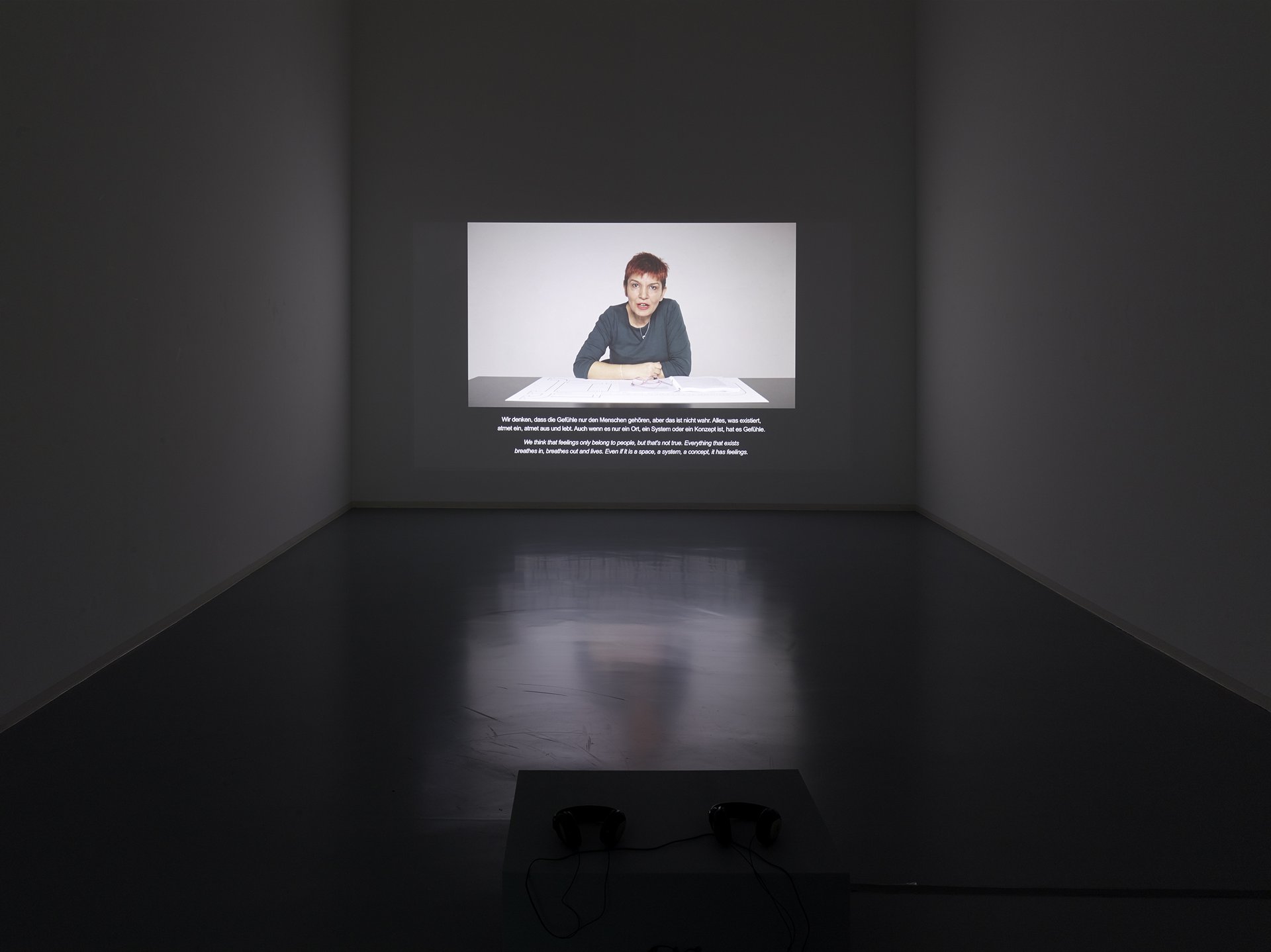 Banu Cennetoğlu and and Yasemin Özcan, What is it that you are worried about?/Worüber bist Du besorgt?, installation view, 2015, Bonner Kunstverein, Courtesy of the artist and Rodeo, London. Photo: Simon Vogel