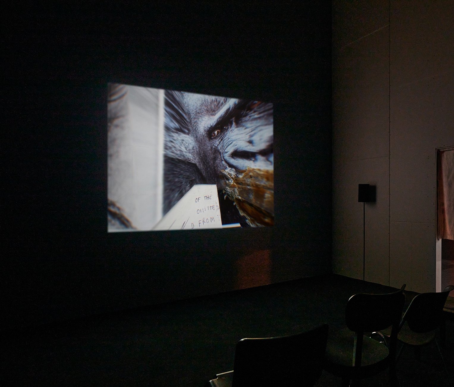 Tolia Astakhishvili, I Remember (Depth of Flattened Cruelty) (with James Richards), 2023, video installation, 10 min.