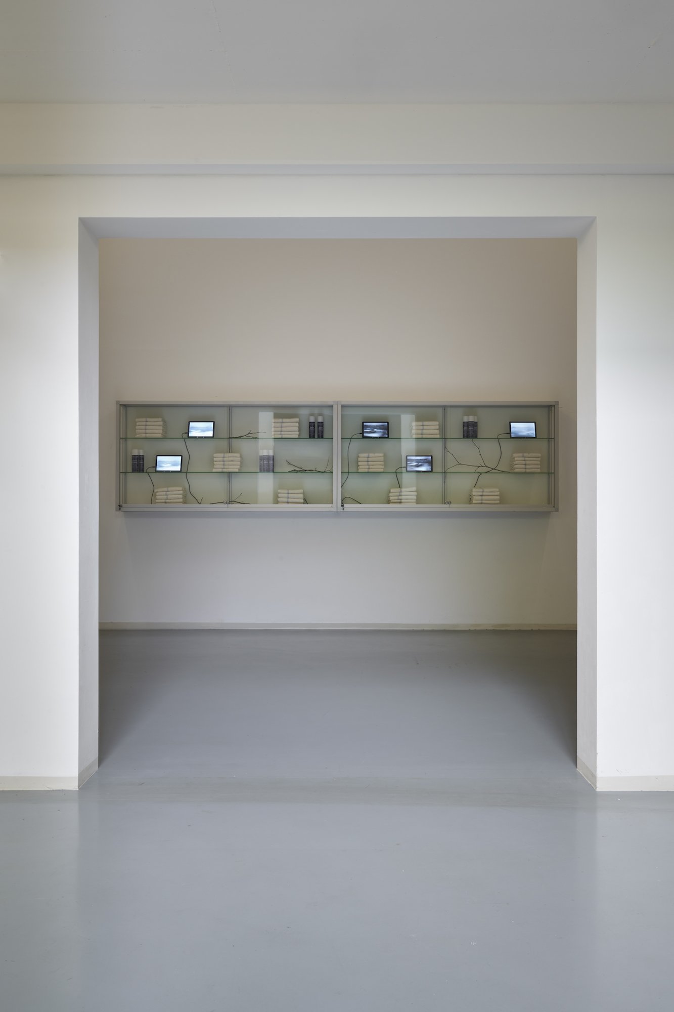 Tolia Astakhishvili and James Richards, Half-Life, 2023, print on jesmonite panels, wall-mounted vitrines, video loops, ephemera and printed materials, dimensions variable.