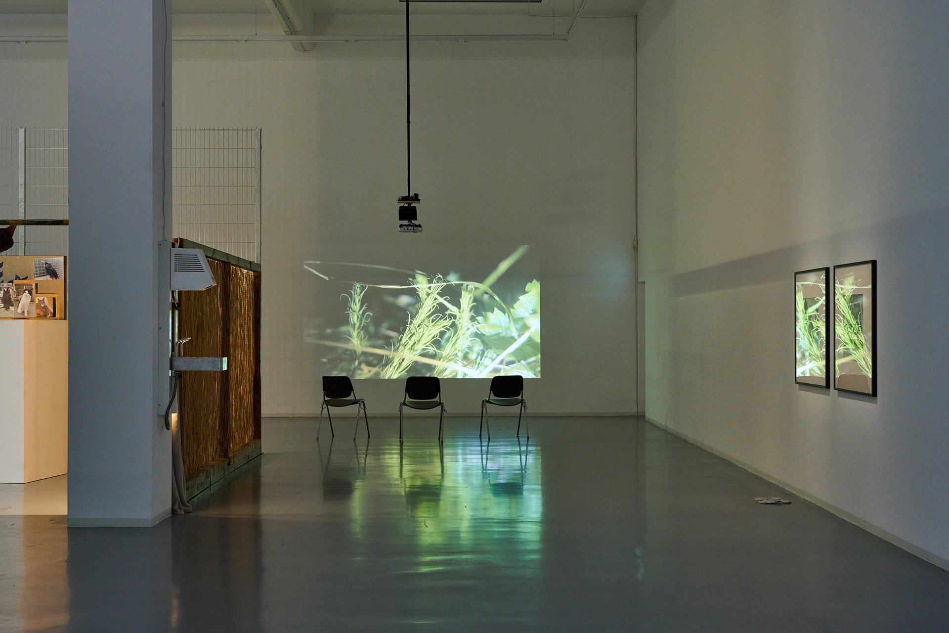 In the Shadows of Tall Necessities, Bonner Kunstverein, 2022. Installation view: Dani ReStack, Platonic. Photo: Mareike Tocha.