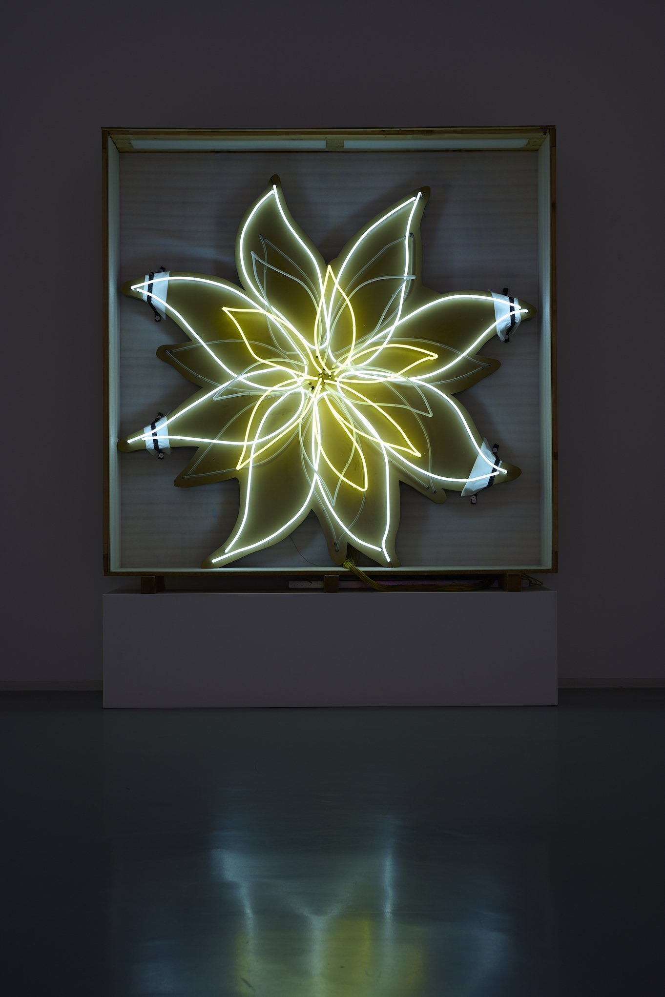 David Medalla, Night Blooming Flower, Bonner Kunstverein, 2021. Foto: Mareike Tocha.
