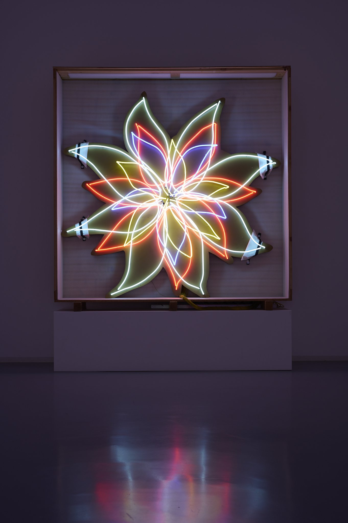 David Medalla, ‘Night Blooming Flower’, Bonner Kunstverein, 2021. Photo: Mareike Tocha.