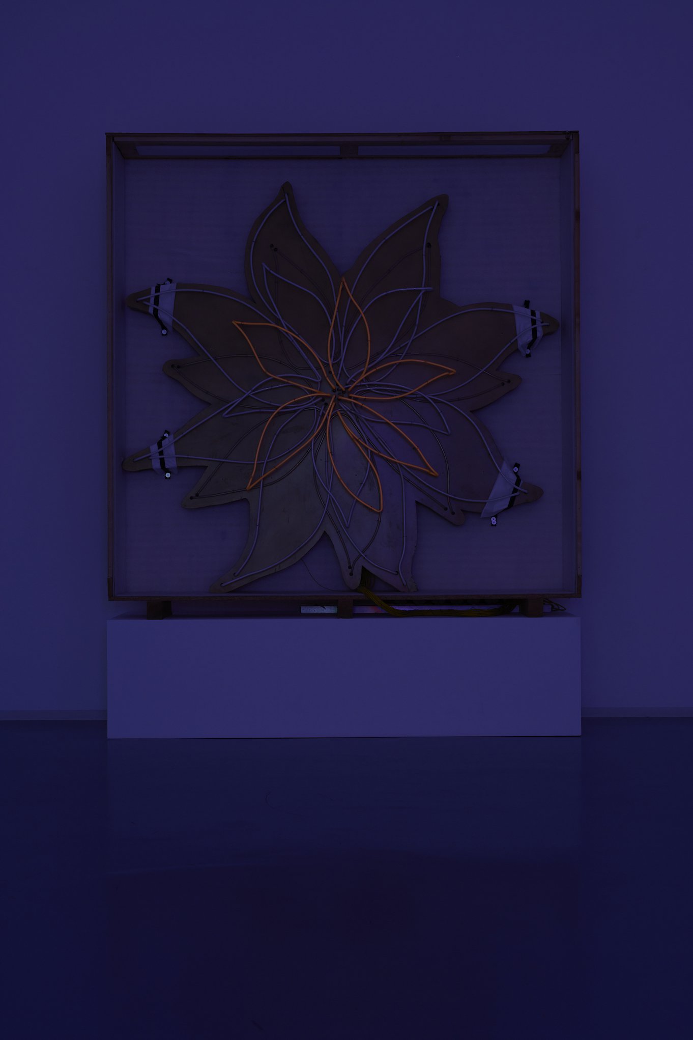 David Medalla, ‘Night Blooming Flower’, Bonner Kunstverein, 2021. Photo: Mareike Tocha.