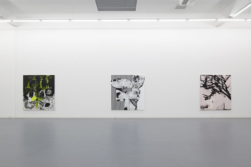 Charline von Heyl, installation view, Bonner Kunstverein, 2012. Photo: Simon Vogel