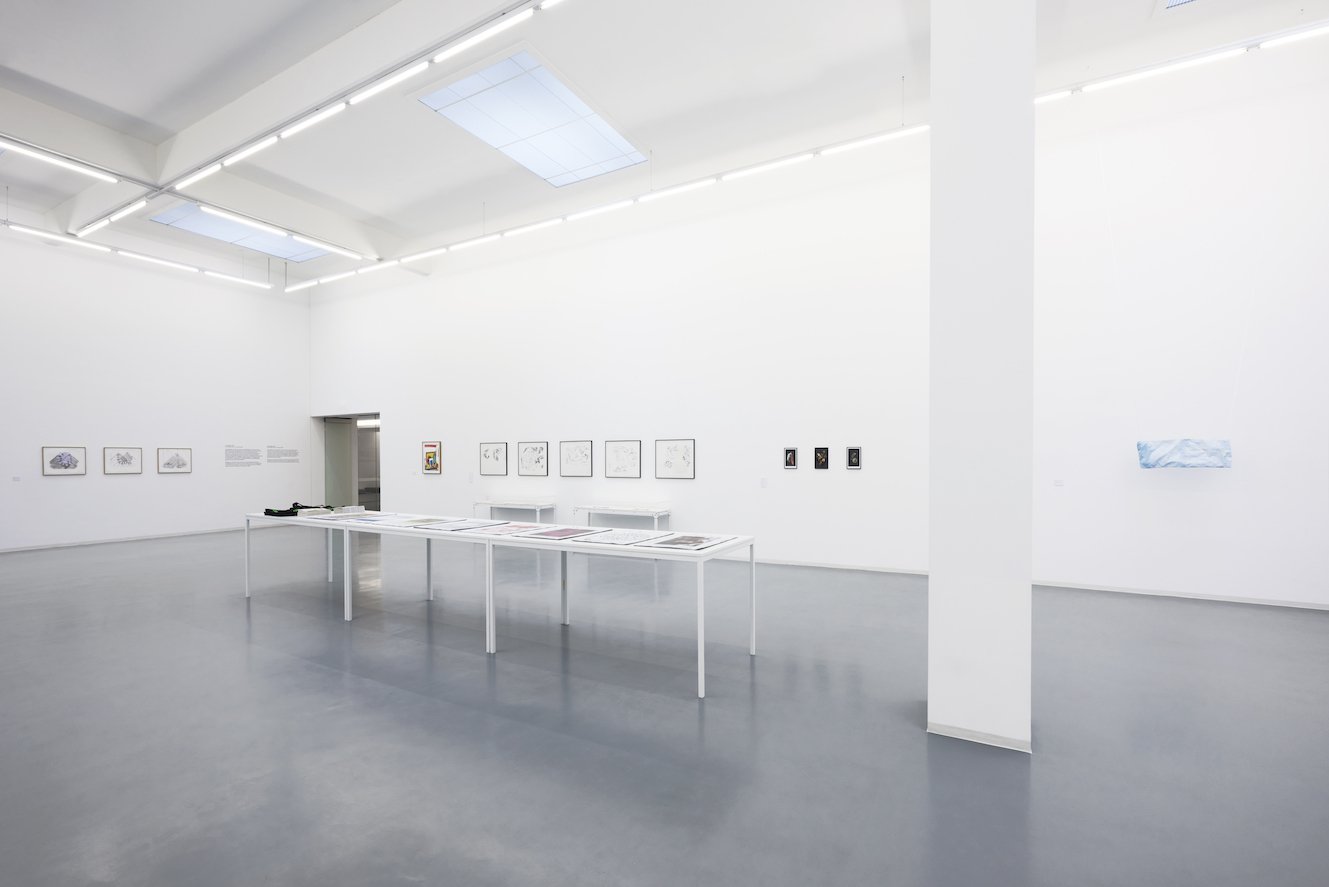 Jahresgaben, Installationsansicht, Bonner Kunstverein, 2017. Photo: Mareike Tocha