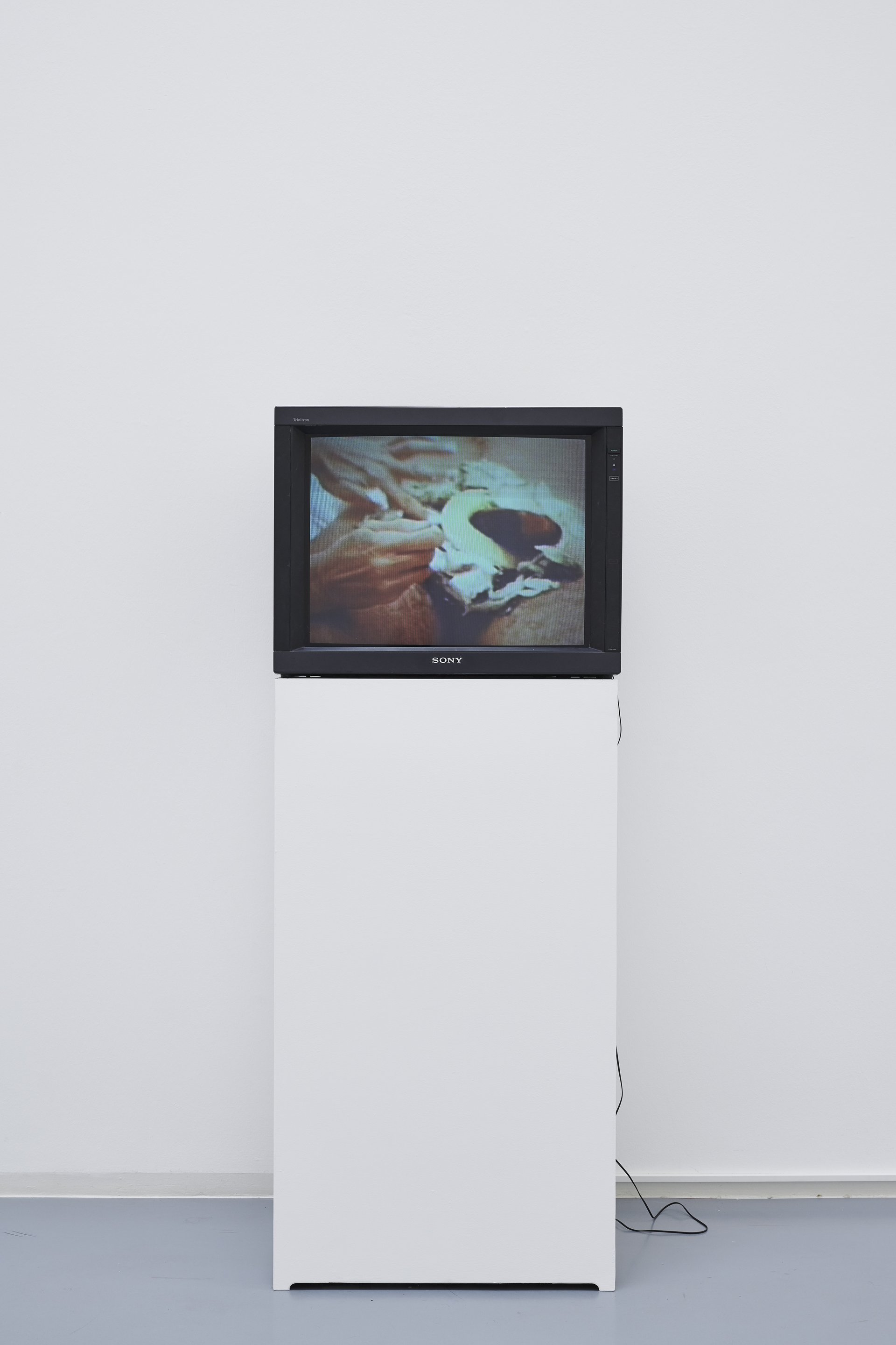 Eunice Golden, Blue Bananas and other Meats, 1973, video. Courtesy the artist. 