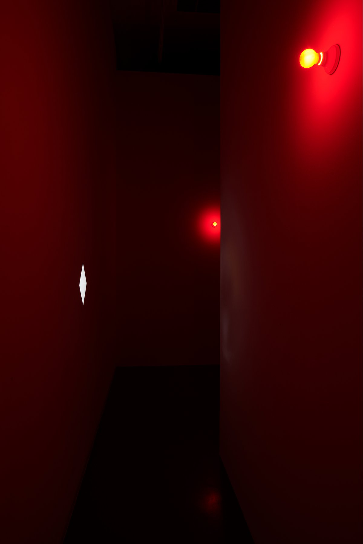 Anna-Sophie Berger: Duel, Bonner Kunstverein, 2020. Courtesy the artist, Galerie LAYR, Vienna and JTT, New York.