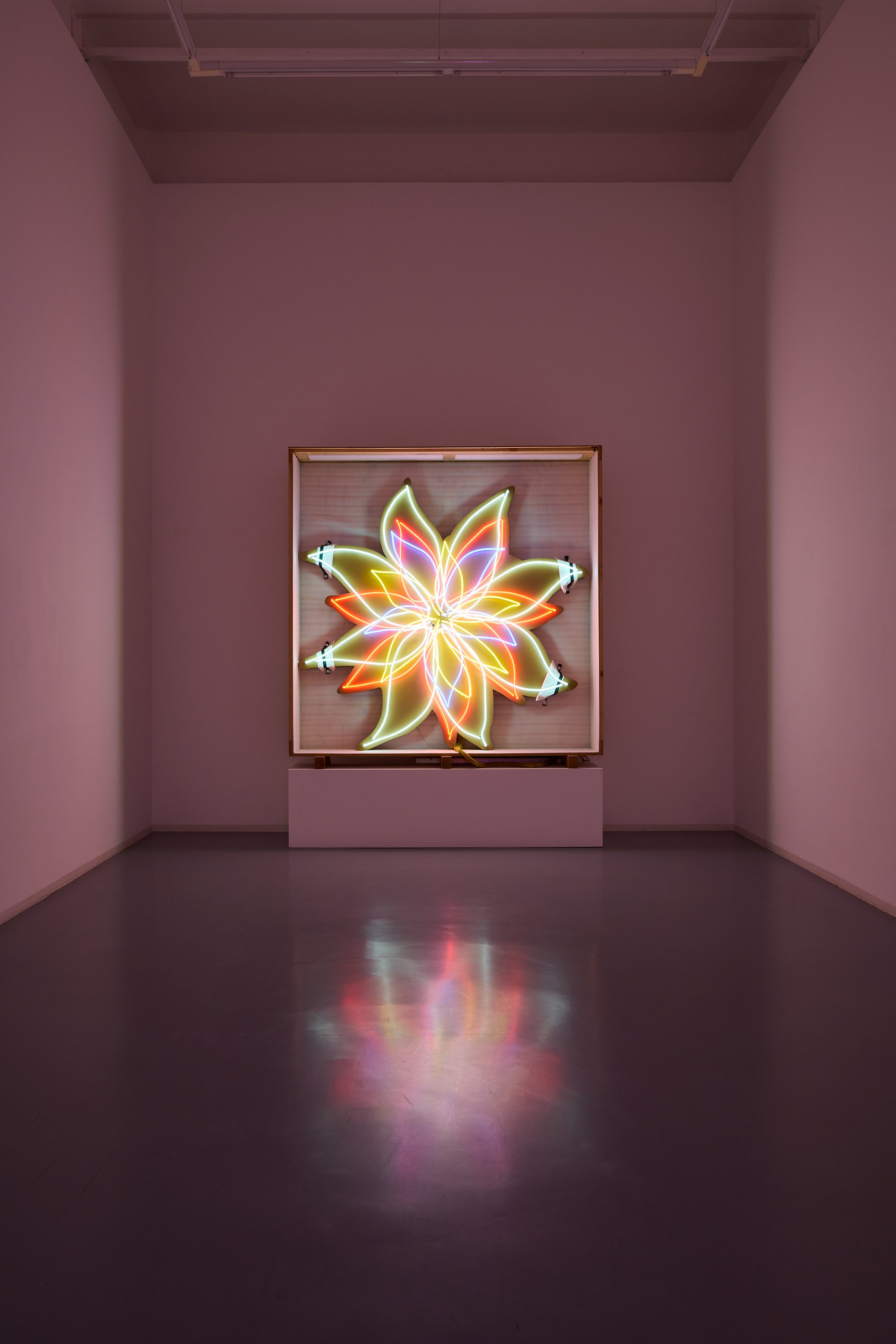 David Medalla, Night Blooming Flower, 1998, Neon, 242 x 42 x 250cm, Bonner Kunstverein, 2021. Foto: Mareike Tocha.