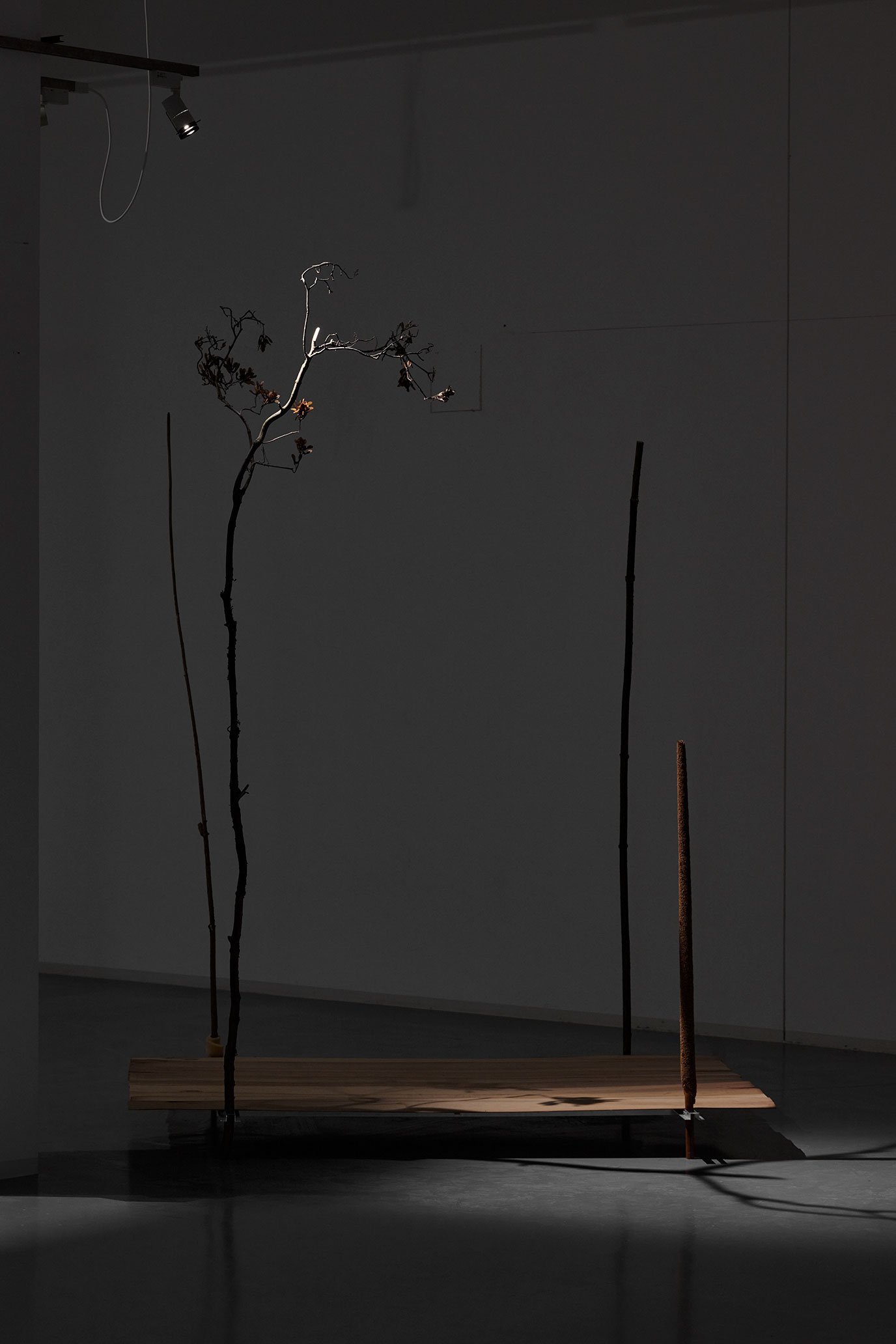 Michael Kleine, Bühne, 2023, Furnierholz, Äste, Aluminium, Schaumstoff, 221 × 176 × 310 cm. Courtesy der Künstler. Foto: Mareike Tocha