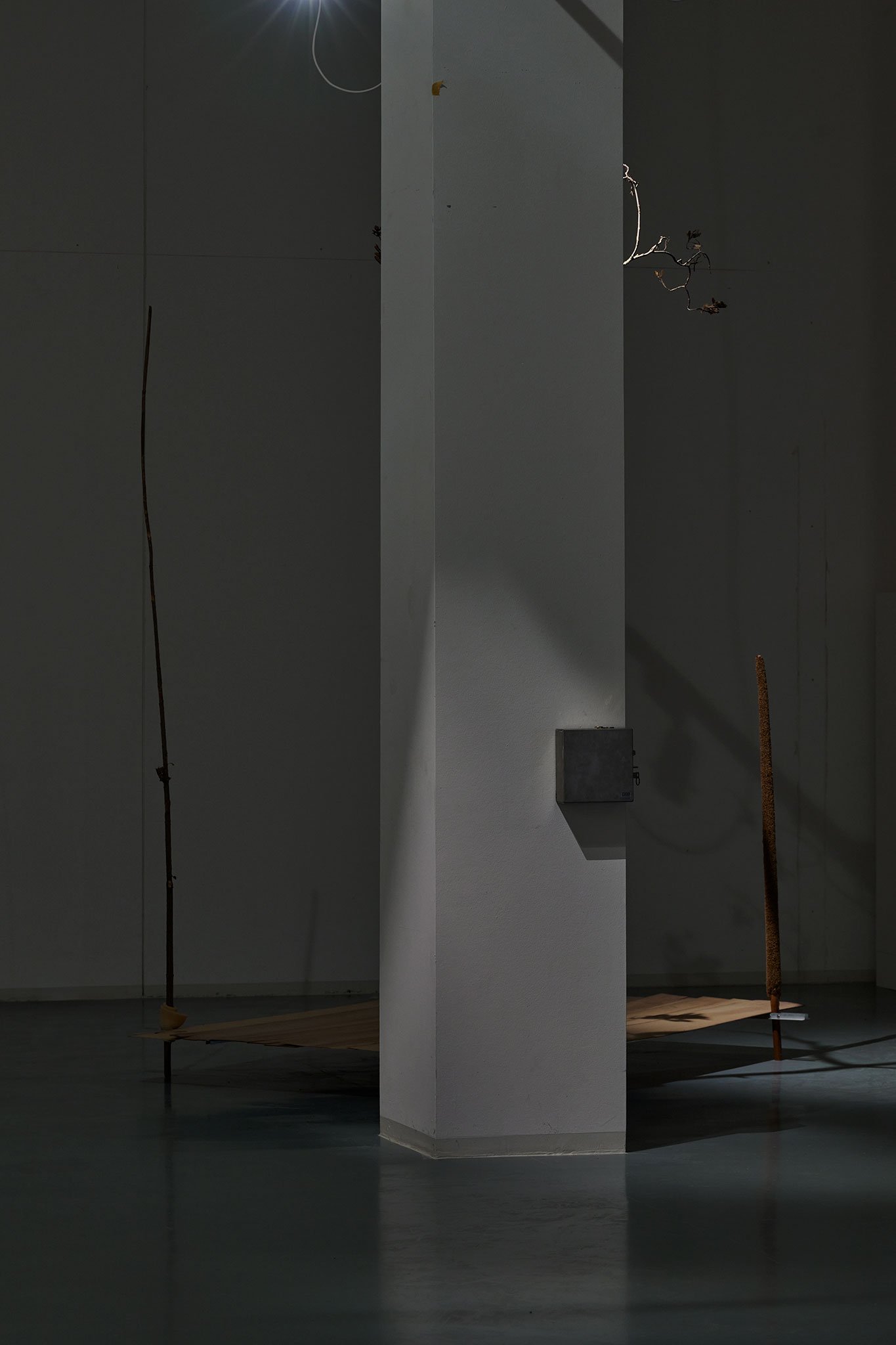 Michael Kleine, in der Blumenhalle, Installationsansicht, 2023, Bonner Kunstverein. Courtesy der Künstler. Foto: Mareike Tocha
