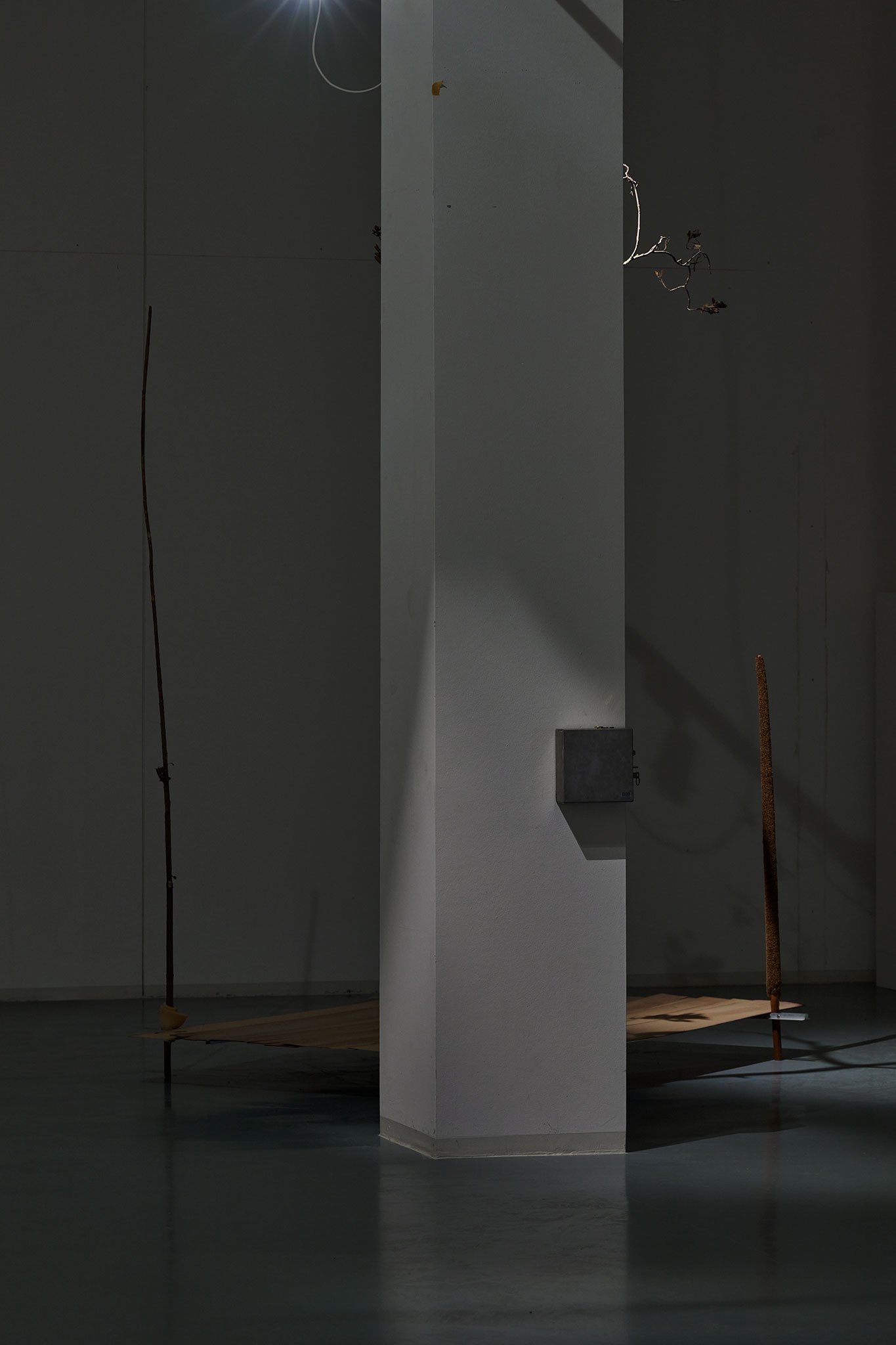 Michael Kleine, in der Blumenhalle, installation view, 2023, Bonner Kunstverein. Courtesy the artist. Photo: Mareike Tocha