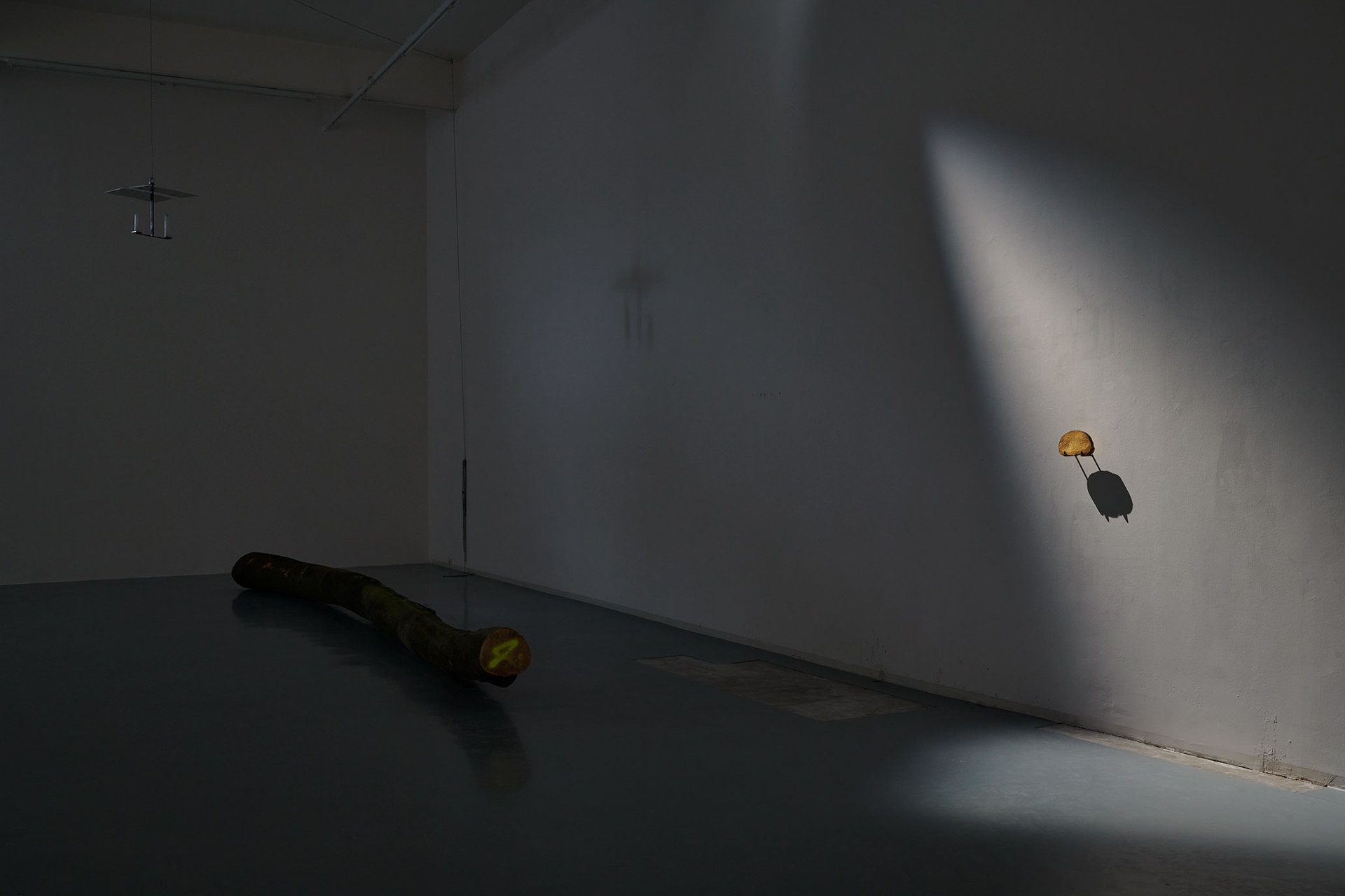 Michael Kleine, in der Blumenhalle, installation view, 2023, Bonner Kunstverein. Courtesy the artist. Photo: Mareike Tocha