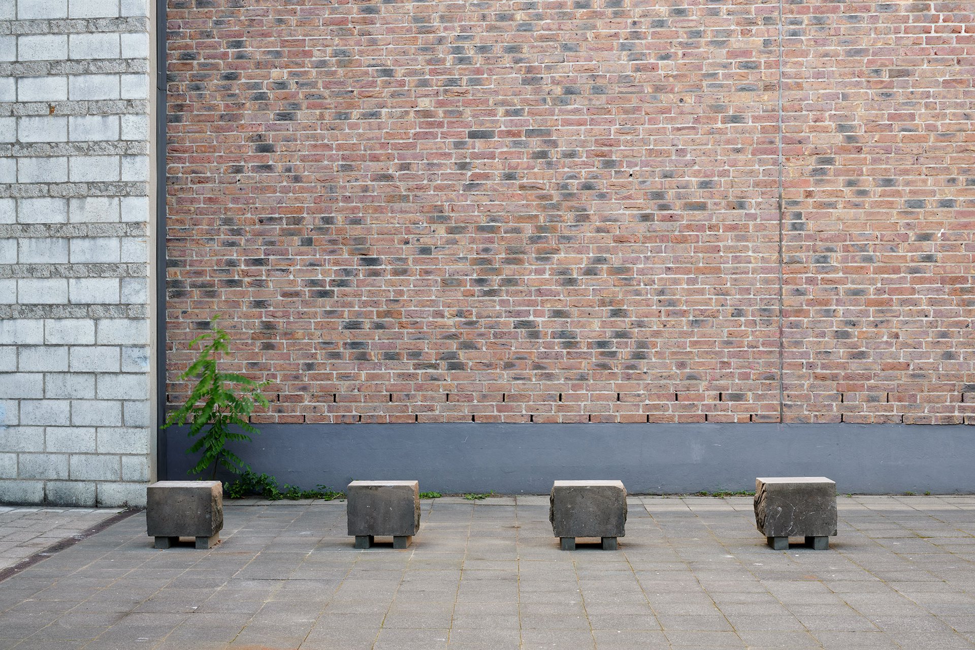 Michael Kleine, in der Blumenhalle, Installationsansicht, 2023, Bonner Kunstverein. Courtesy der Künstler. Foto: Mareike Tocha