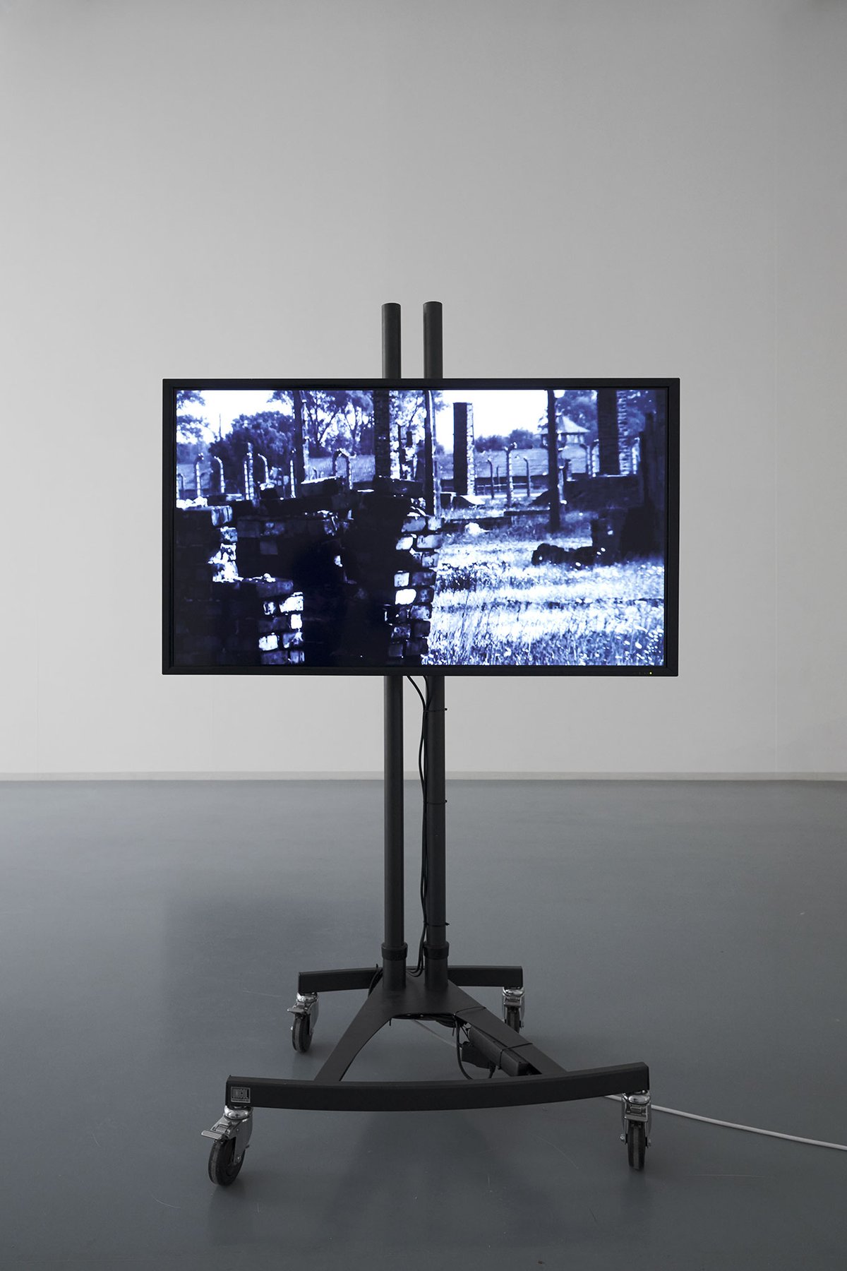It is light, Bonner Kunstverein, 2024. Ausstellungsansicht mit James T. Hong, Surveillance of a Camp in Spring. Foto: Mareike Tocha.