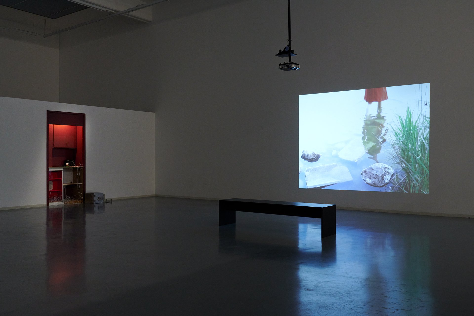 In the Shadows of Tall Necessities, Bonner Kunstverein, 2022. Installation view: Bastien Gachet, Owl and Dani ReStack, 3 Parts for Today. Photo: Mareike Tocha.