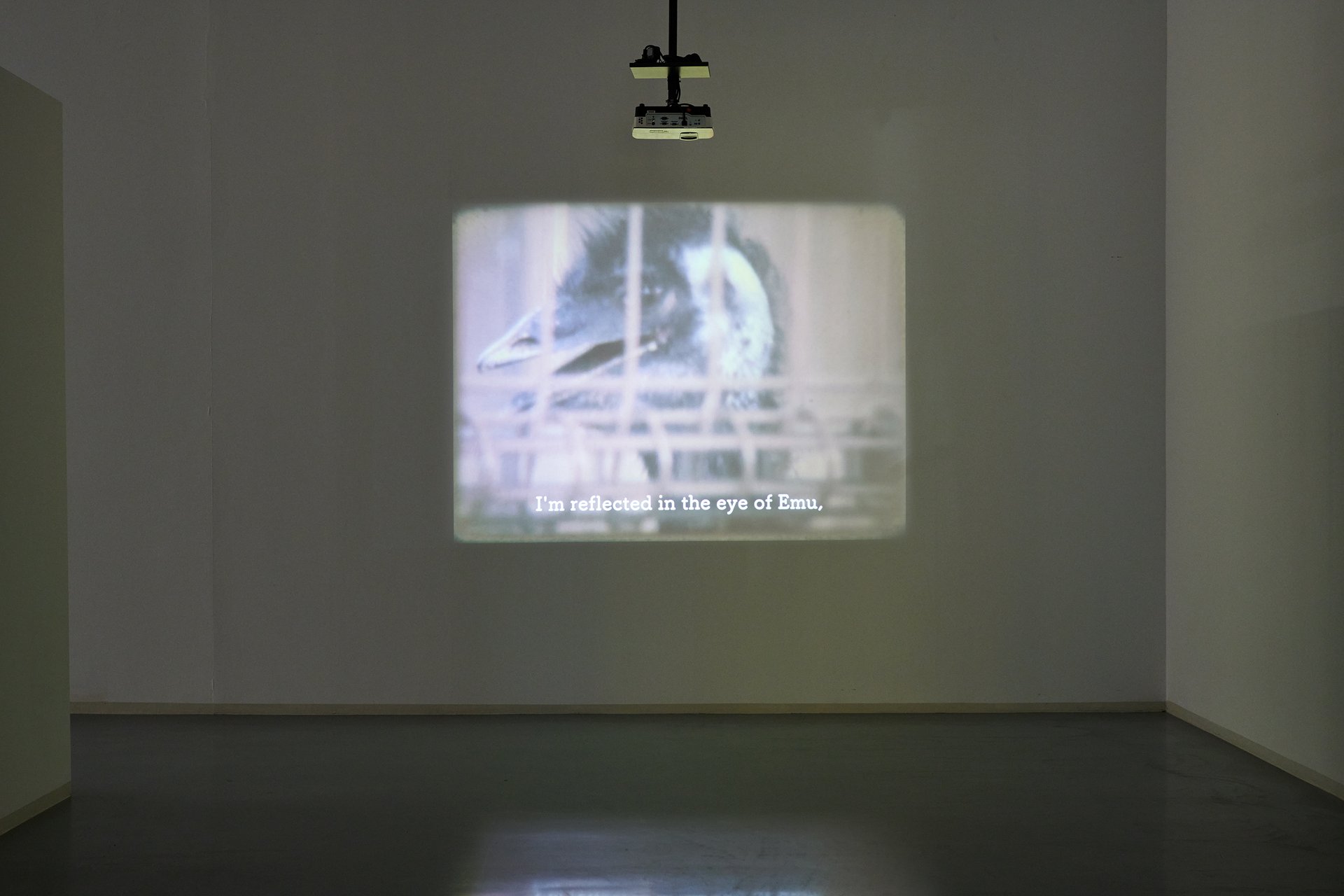 In the Shadows of Tall Necessities, Bonner Kunstverein, 2022. Ausstellungsansicht mit Rei Hayama, On the Collinear and the Reflection the Water. Foto: Mareike Tocha.
