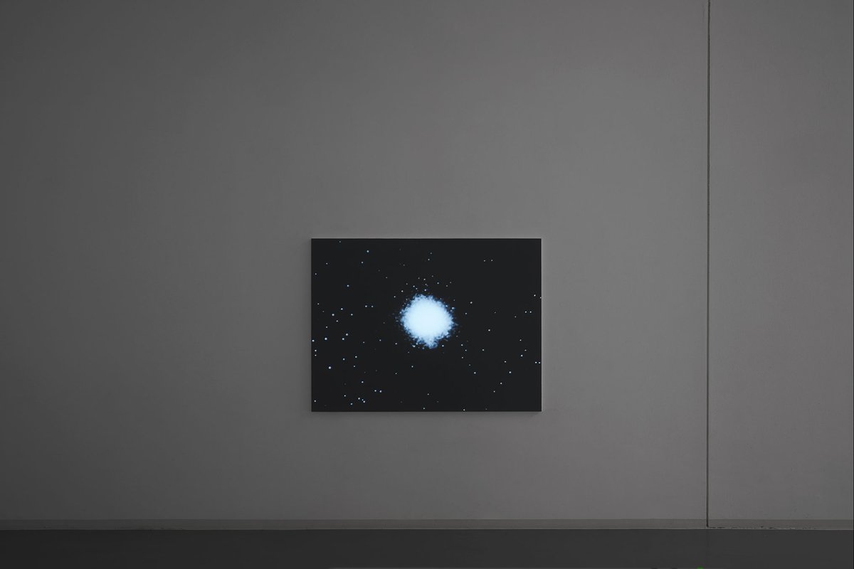 It is light, Bonner Kunstverein, 2024. Ausstellungsansicht mit James T. Hong, Condor: A Film from California. Foto: Mareike Tocha.