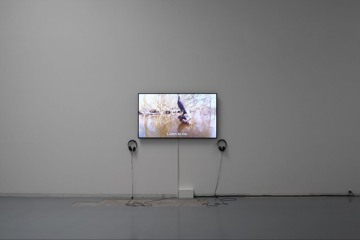 It is light, Bonner Kunstverein, 2024. Ausstellungsansicht mit James T. Hong, The Duck of Nature/The Duck of God. Foto: Mareike Tocha.