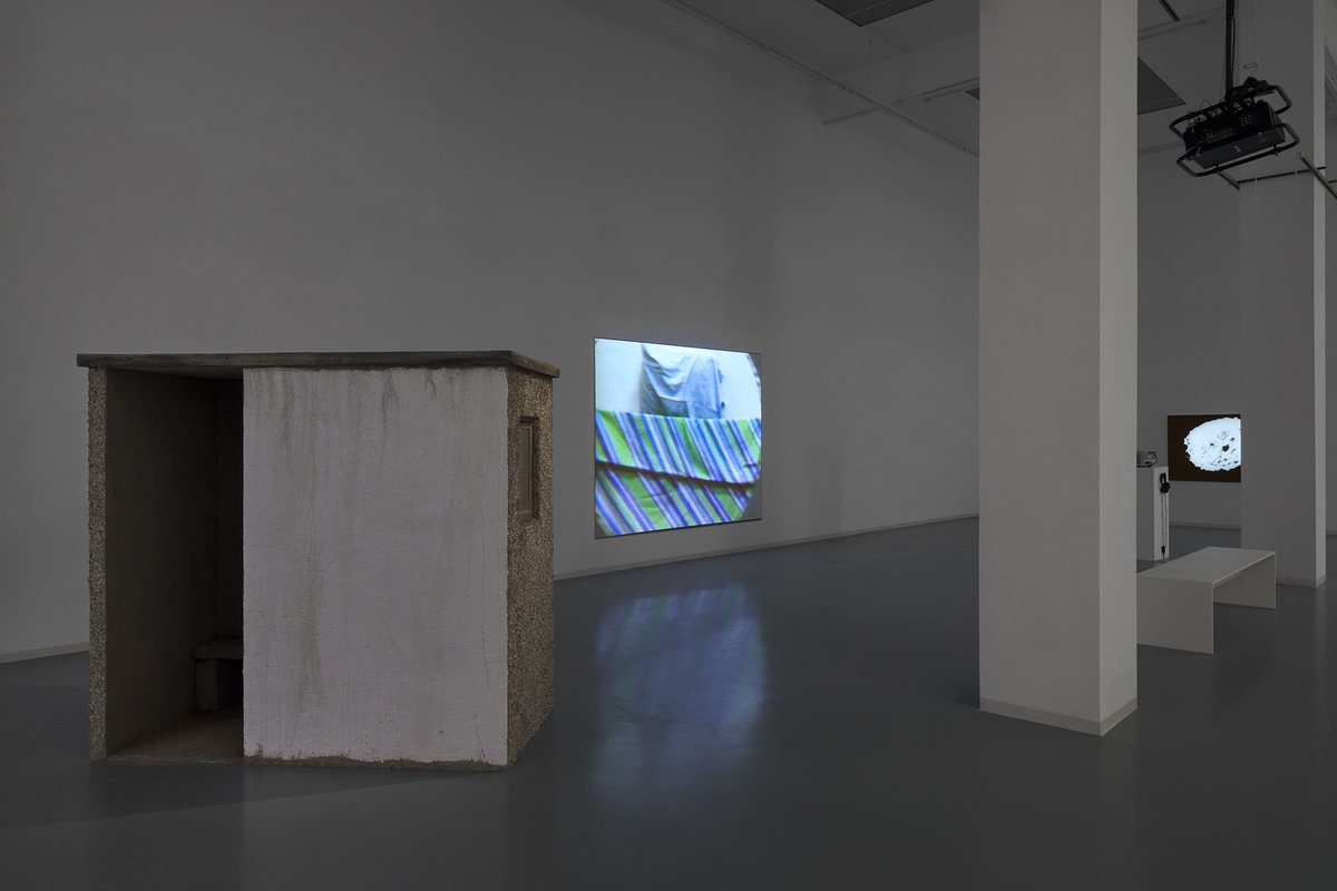 It is light, Bonner Kunstverein, 2024. Ausstellungsansicht mit Ada Frände, Haltestelle II, Julia Heyward, Conscious Knocks Unconscious and James T. Hong, Condor: A Film from California. Foto: Mareike Tocha.