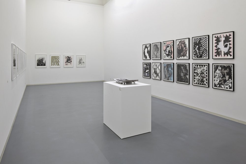 Charline von Heyl, Installationsansicht, Bonner Kunstverein, 2012. Photo: Simon Vogel