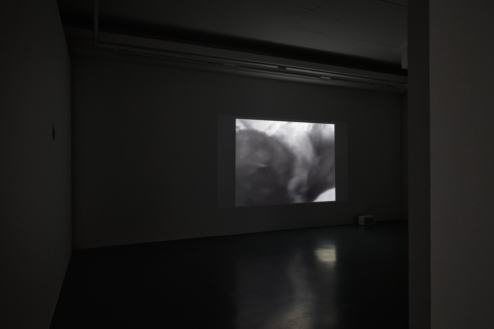 Simon Lässig, installation view, 2023, Bonner Kunstverein. Foto: Mareike Tocha. Courtesy the artist, Felix Gaudlitz, Vienna and LC Queisser, Tbilisi.