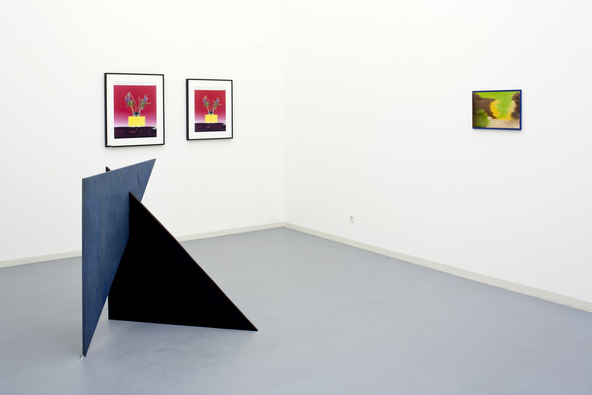Annette Kelm &amp; Michaela Meise, Hallo aber, Installation view, Bonner Kunstverein, 2011. Photo: Simon Vogel.
