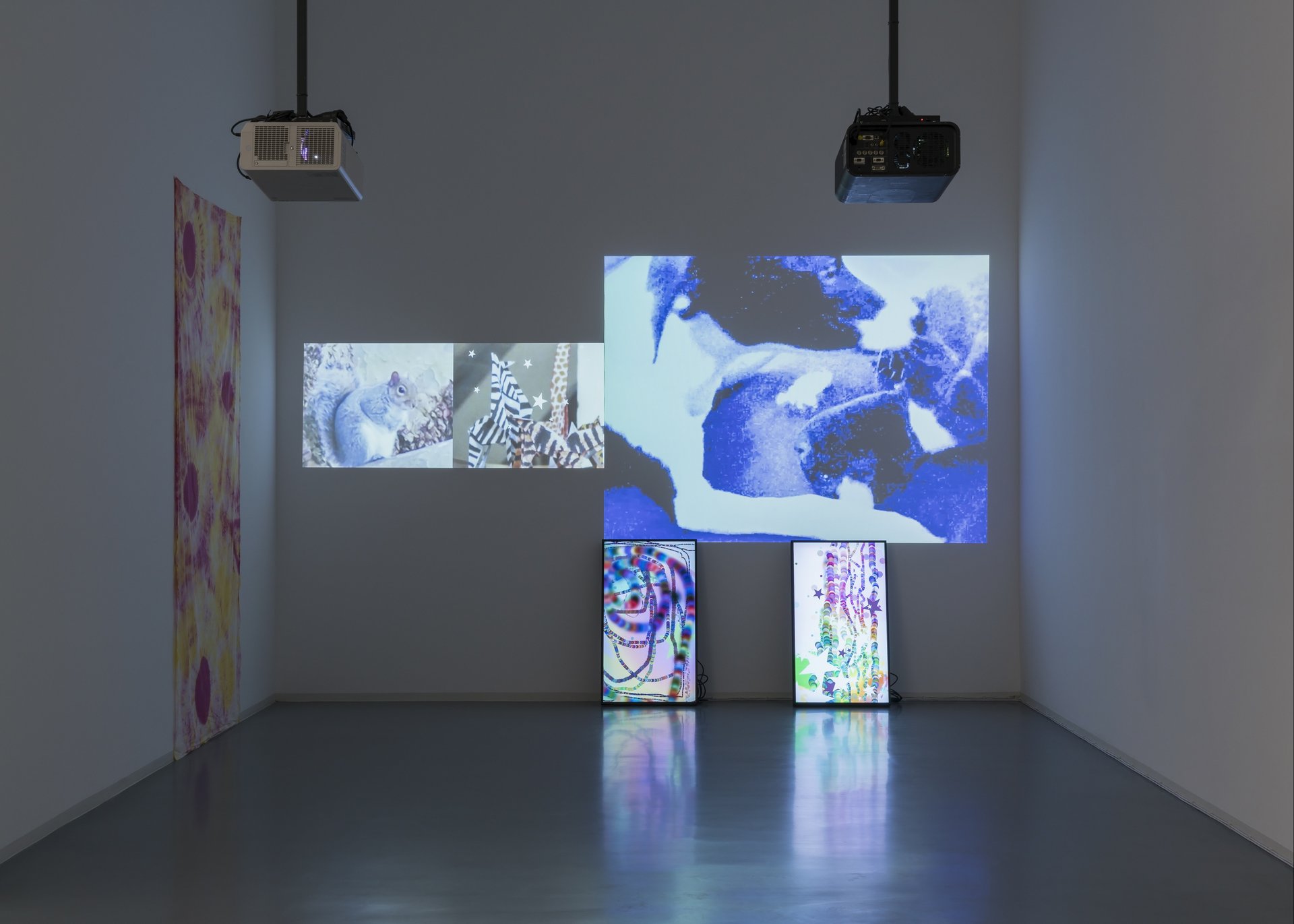 Hilary Lloyd, Installationview, Bonner Kunstverein, 2017. Image: Anne Pöhlmann