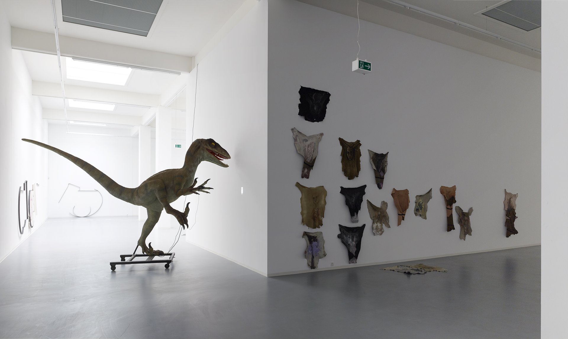 Raphaela Vogel, Installationsansicht, 2015, Bonner Kunstverein, Courtesy die Künstlerin und BQ, Berlin. Photo: Simon Vogel