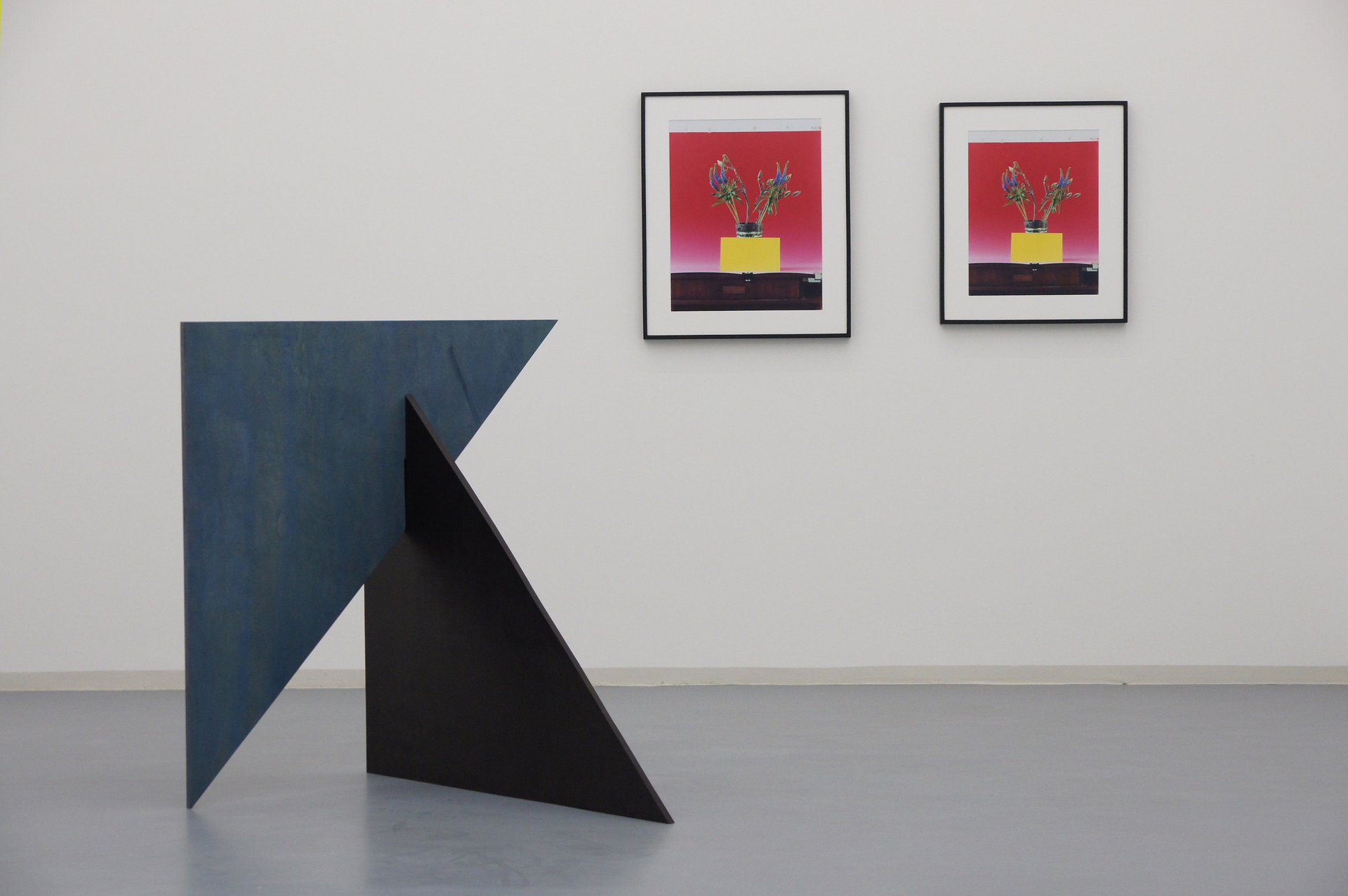 Annette Kelm, Michaela Meise, Hallo aber, Installationsansicht, Bonner Kunstverein, 2012. Photo: Simon Vogel.