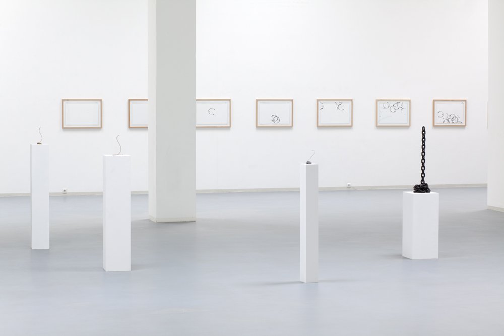 Ernste Tiere, Installation view, Bonner Kunstverein, 2011. Photo: Simon Vogel