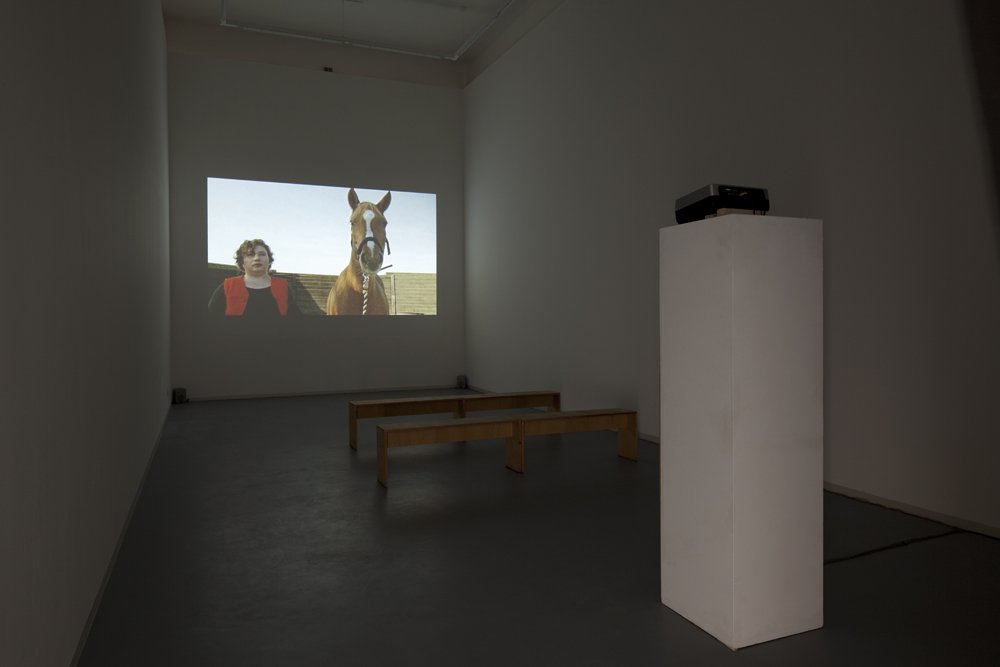 Ernste Tiere, Installationsansicht, Bonner Kunstverein, 2011. Foto: Simon Vogel