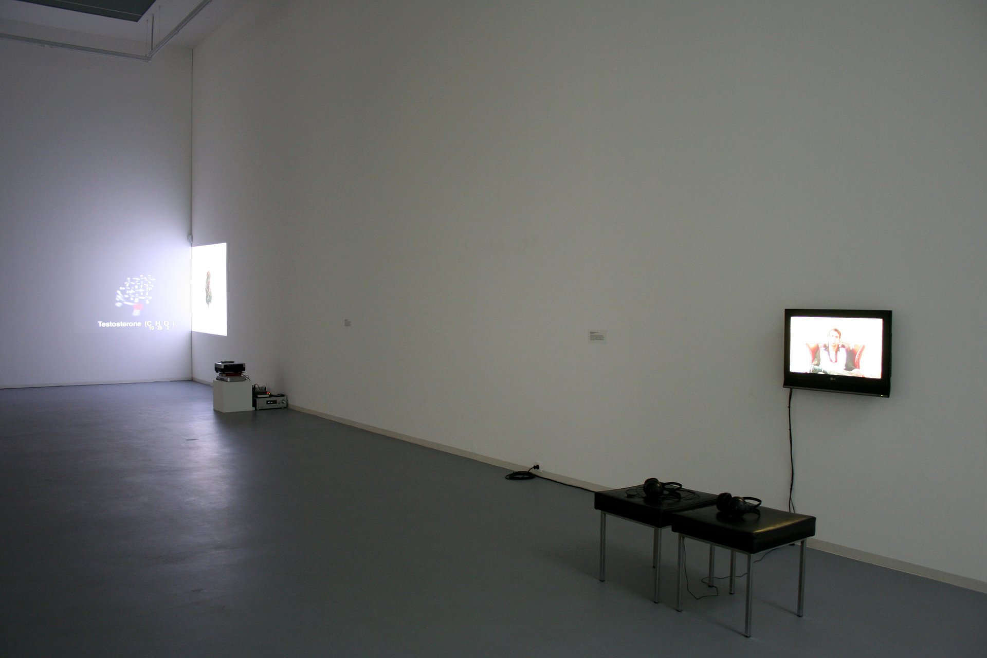 Indicated by signs, Installation view, Bonner Kunstverein, 2009. Photo: n.a.
