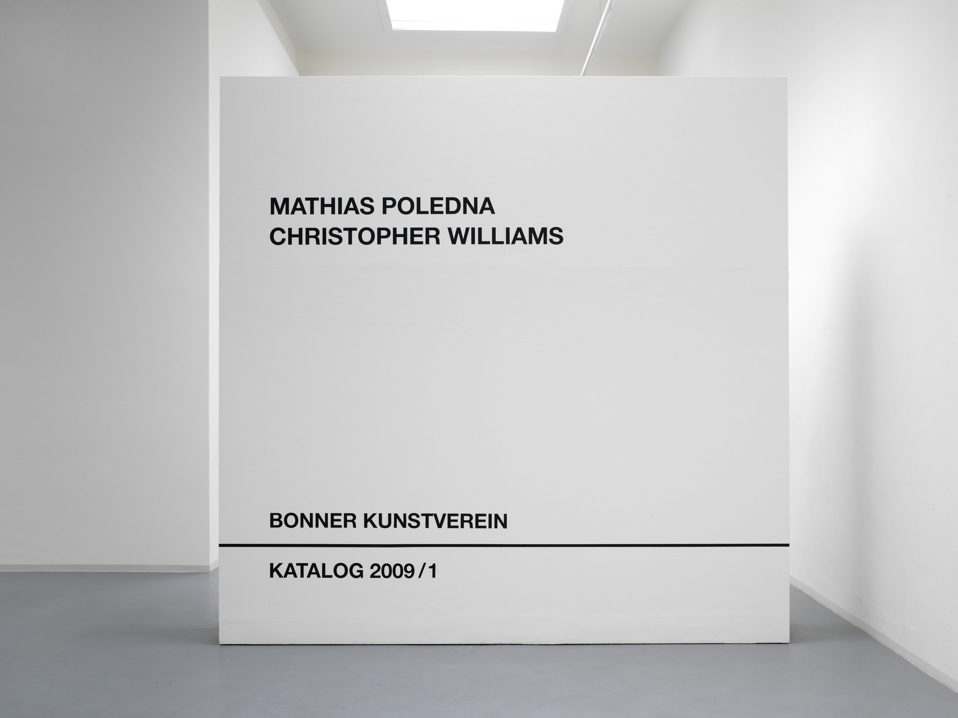 Mathias Poledna, Christopher Williams, Installation view, Bonner Kunstverein, 2009. Photo Achim Kukulies